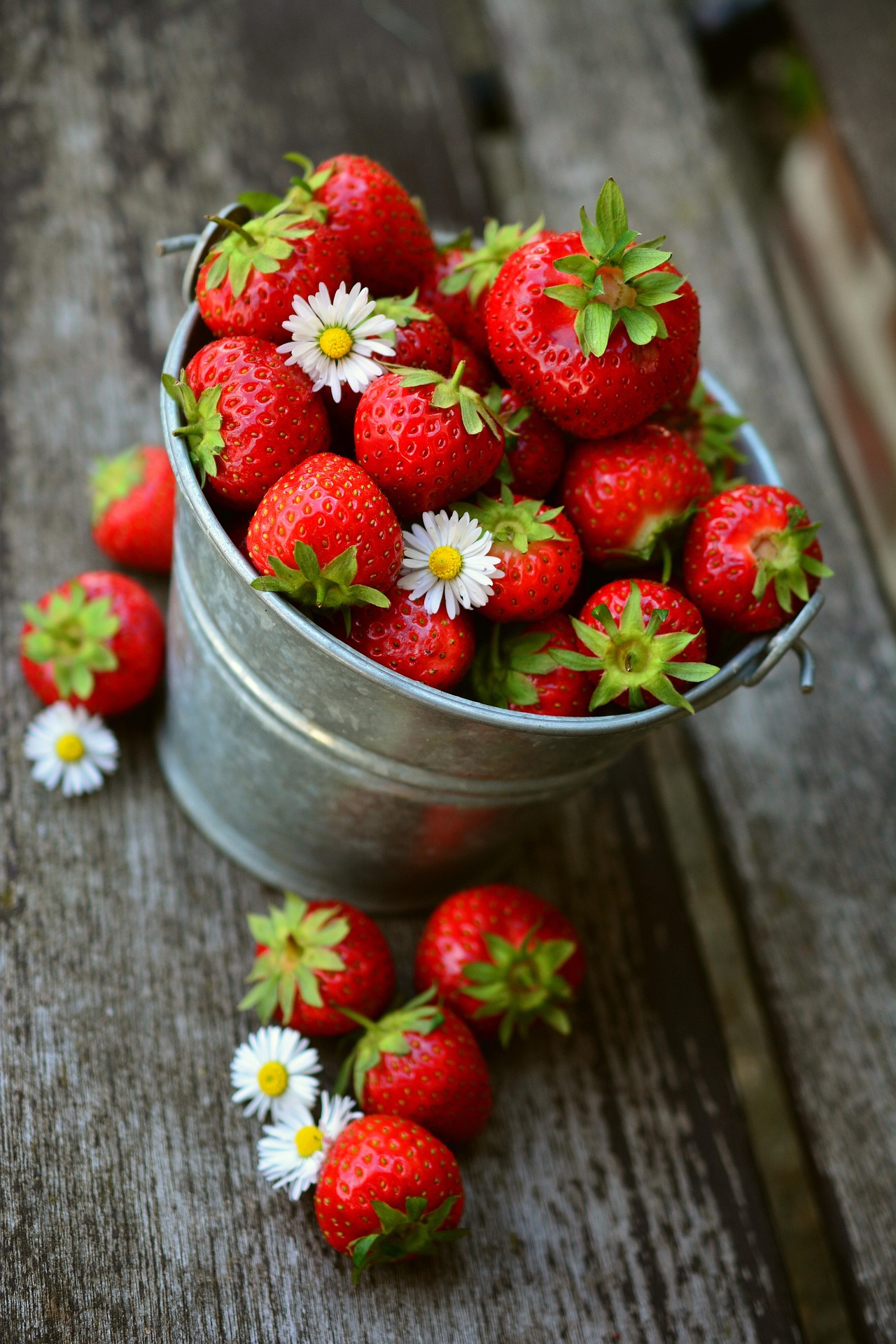 Les premières fraises de saison sont arrivées